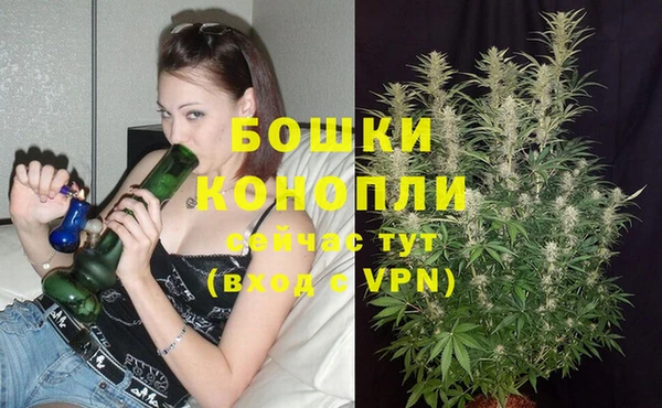 винт Пестово